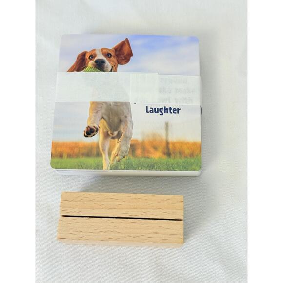 NWT Professor Puzzle Life Advice From Pawsitive Pups & Critical Kittens - Picture 4 of 5